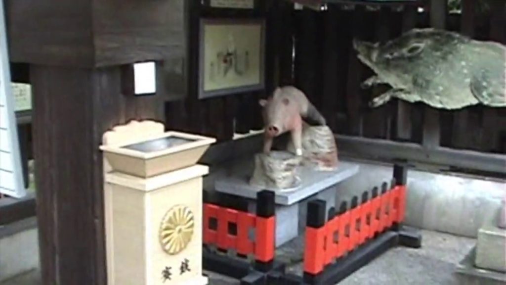 Few Days in📍Kyoto, Japan 🇯🇵