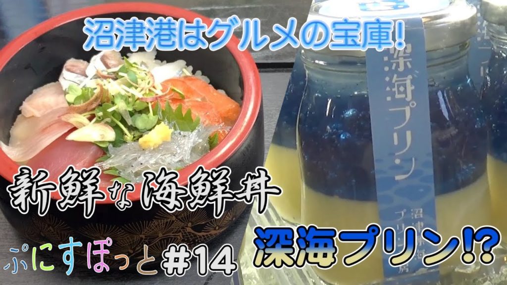 沼津港で、海鮮丼と『深海プリン』をいただく！【ぷにすぽっと#14 沼津港美食グルメ編】