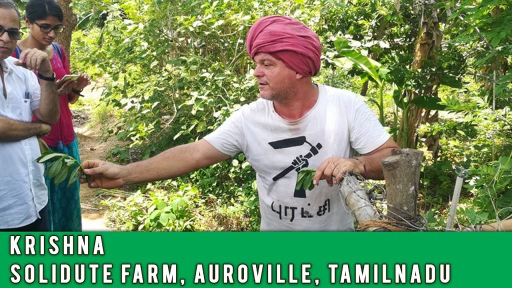 Eat Local Week at Solitude Farm Auroville with Krishna & Joy Of Impermanance | Auroras Eye Films