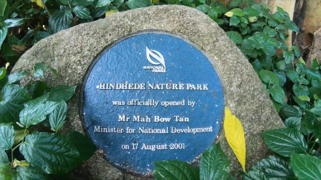 WALK in SINGAPORE  | Hindhede Nature Park  |  Gopro Hero 7 Black