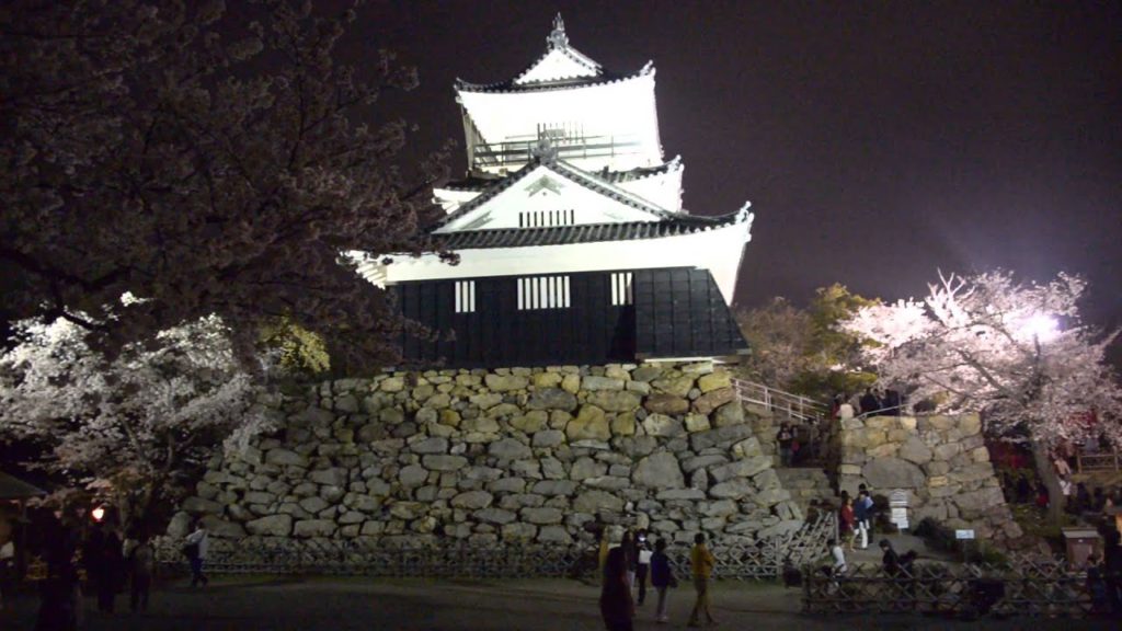 アキーラさん堪能③静岡県・浜松市・浜松城の夜桜（桜・花見）！cherry blossom（Sakura),Hamamatsu-castle,Shizuoka,Japan