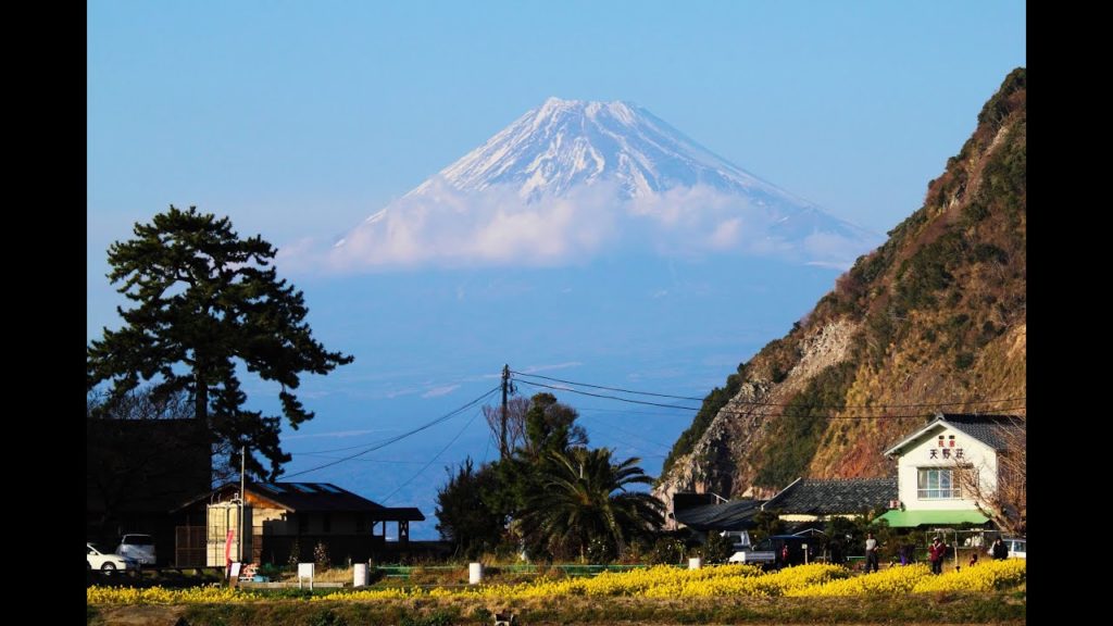 JG☆☆4K HDR Shizuoka,Ita,Mt.Fuji and Rape Flowers 静岡 井田の菜の花と富士山