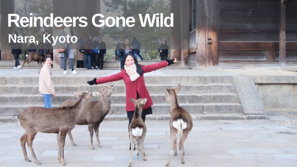 Japan Trip 2018 - Nara, Kyoto, Osaka