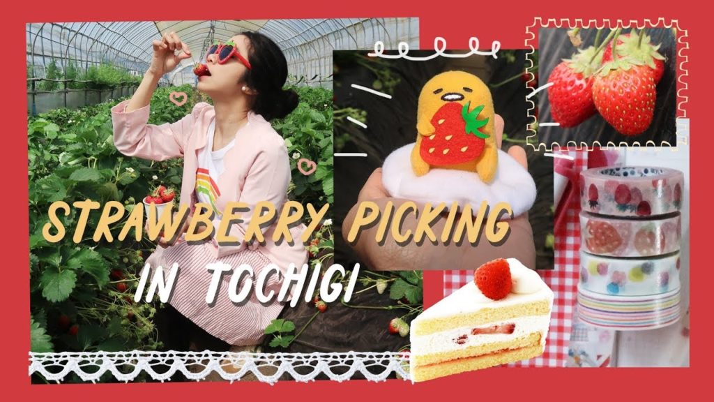 Strawberry Picking in Tochigi, Japan (栃木のいちご狩り) + Hobonichi With Me (ほぼ日手帳 2018) | Rainbowholic 🍓
