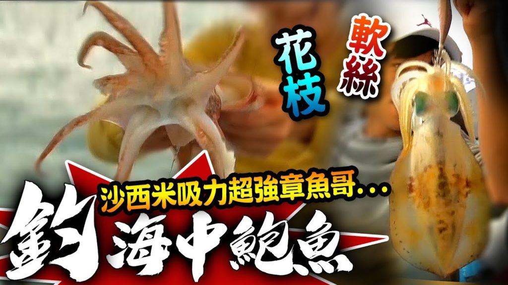 【★出海尋釣海中鮑魚?!★初階海釣秘笈大公開!!】吸力超強章魚哥沙西米!!帶你釣軟絲 花枝 透抽(上)