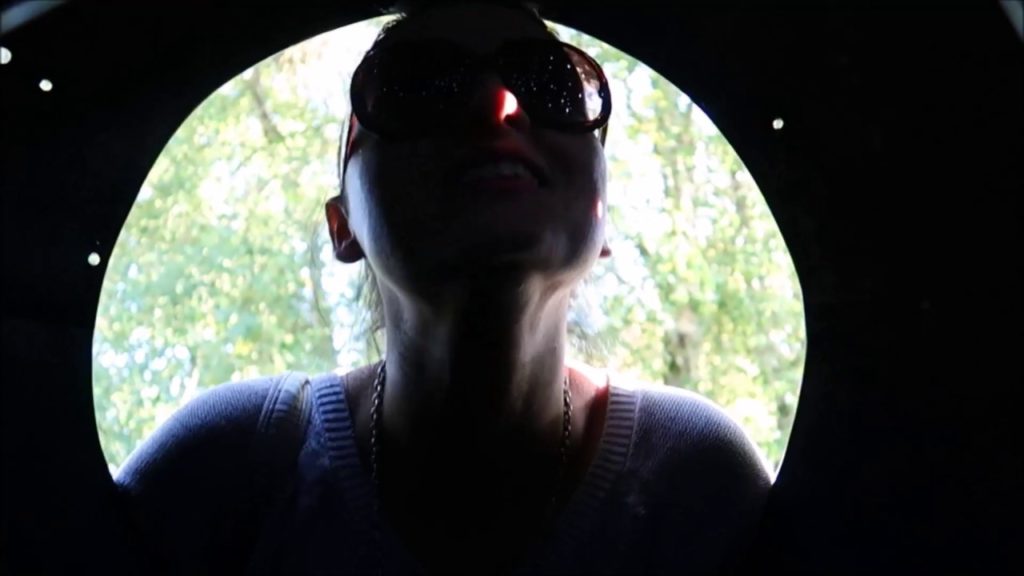 Ireland Japanese Gardens