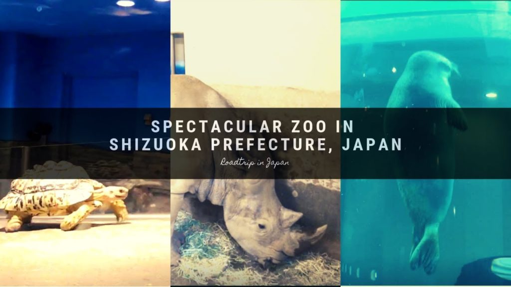 Nihondaira Zoo... ( Best in Shizuoka )