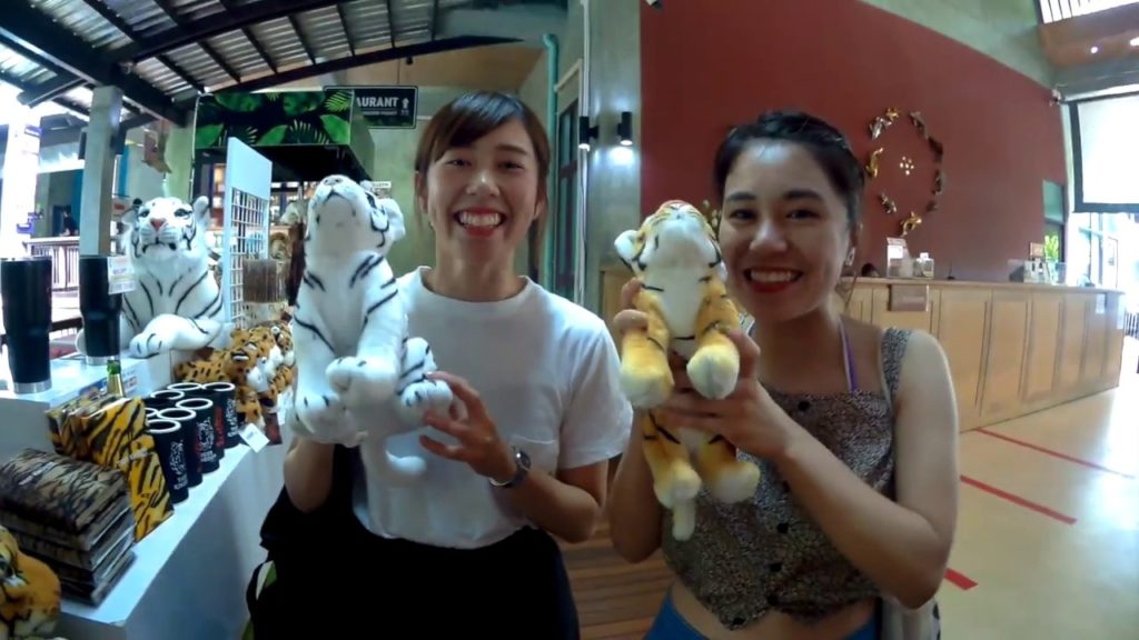 タイガーキングダムで赤ちゃんトラと写真撮影