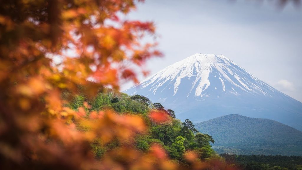 Cycle Touring in Japan #11 - Mt. Fuji to Tokyo