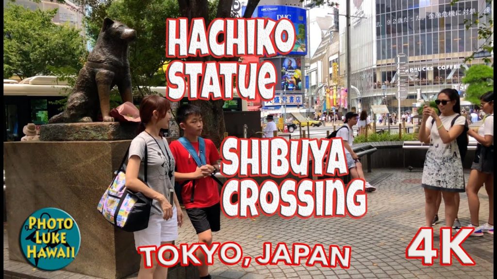 Hachiko Statue Shibuya Crossing Tokyo Japan Hachiko Statue Shibuya Crossing Tokyo Japan