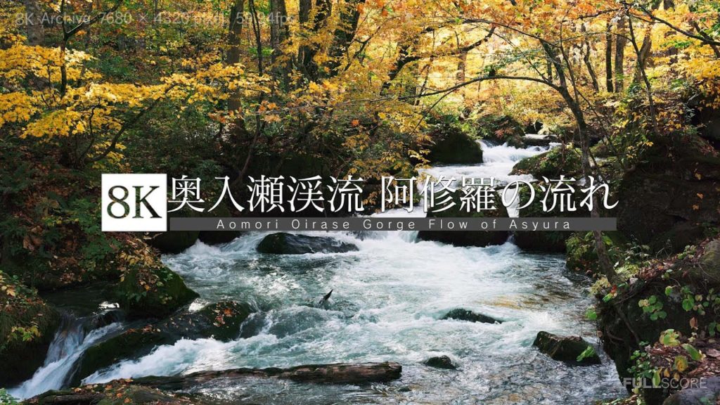 [8K footage] Oirase Gorge Flow of Asyura [奥入瀬渓流 Vol.3 阿修羅の流れ_8K ]