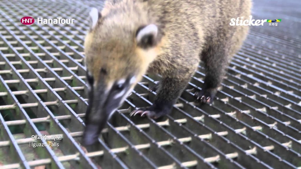 [남미여행]이과수 폭포 / Iguazu Falls / 스티커, 하나투어
