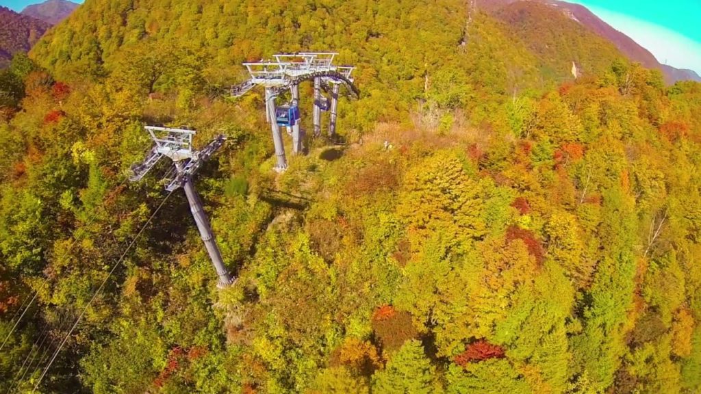 苗場ドラゴンドラ紅葉ドローン空撮