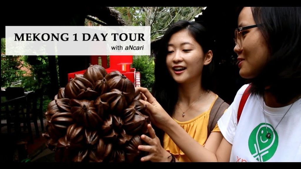 MEKONG DELTA: 1-day tour Ft. aNcari Room