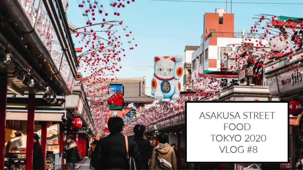 EATING STREET FOOD IN ASAKUSA I CAT CAFE I SHIBUYA I TOKYO 2020 VLOG #8
