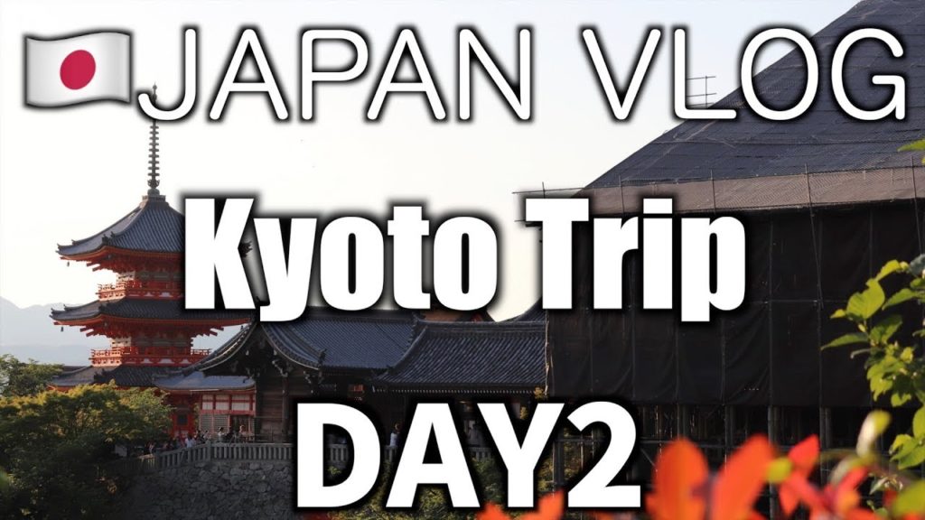 【Vlog】Kyoto Trip DAY2【京都】【Solo Travel 】【Kyoto Sightseeing】