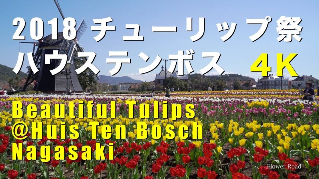 2018 チューリップに彩られたハウステンボス(4K) Huis Ten Bosch Colored By lots Of Tulips(UHD) 2018 チューリップに彩られたハウステンボス(4K) Huis Ten Bosch Colored By lots Of Tulips(UHD)