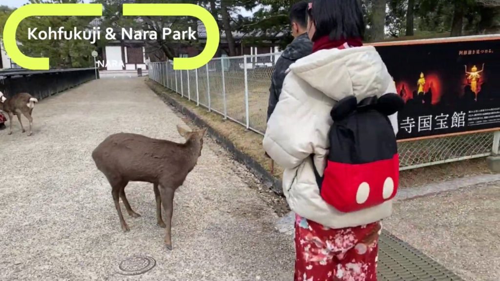 A trip to the NARA PARK & KOHFUKU-JI  in Osaka Japan