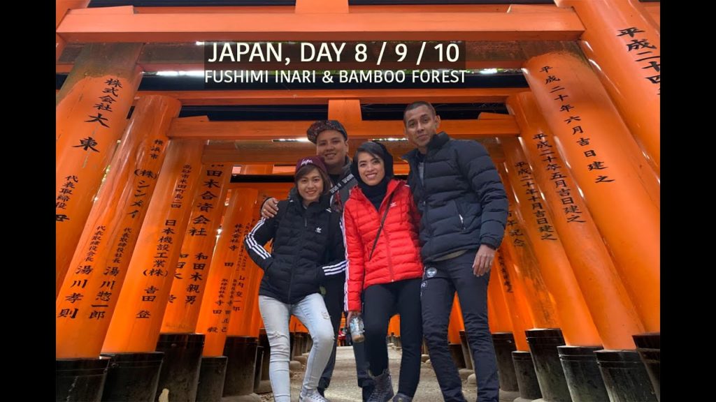 Japan, Day 8 / 9 / 10  | FUSHIMI INARI SHRINE & BAMBOO FOREST | Traveling with Books Blues