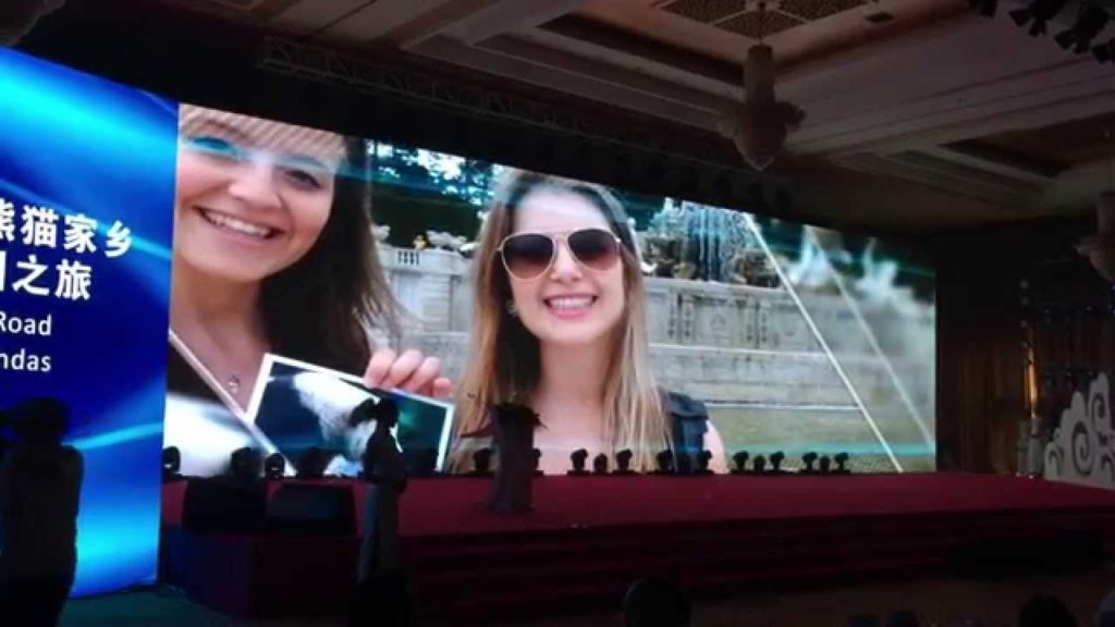 European Panda Road Trip Highlights