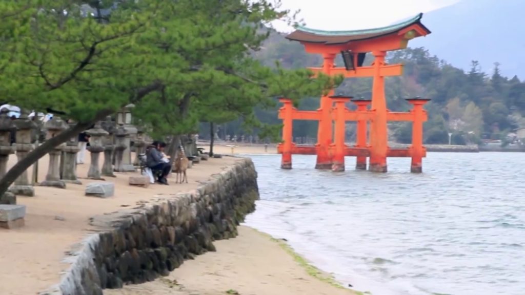 WORKING HOLIDAY EN JAPÓN