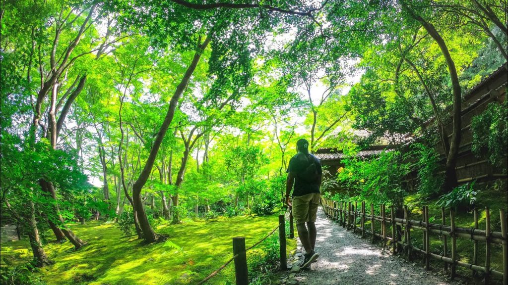 Bamboo Forests & Moss Temples – Farewell Masako! Bamboo Forests & Moss Temples - Farewell Masako!