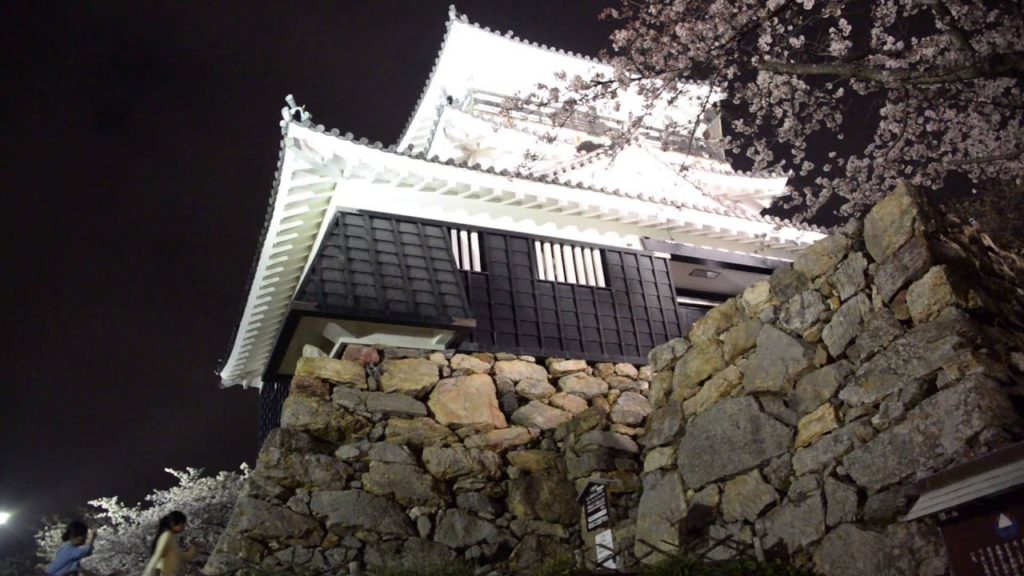 アキーラさん堪能②静岡県・浜松市・浜松城の夜桜（桜・花見）！cherry blossom（Sakura),Hamamatsu-castle,Shizuoka,Japan
