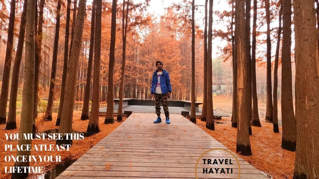 THIS PLACE IS HEAVEN🔥🔥🔥| FIRST VIDEO ON GOPRO HERO8 | TRAVEL HAYATI | MALAYALAM VLOG