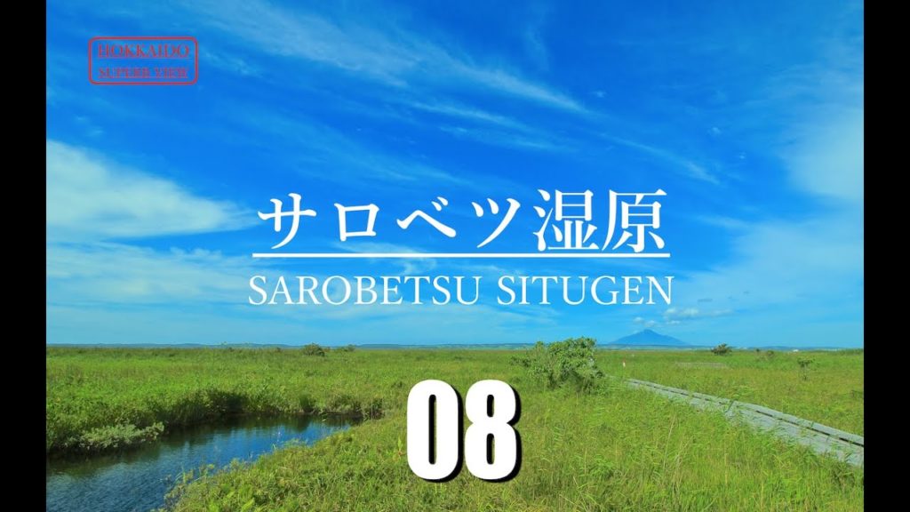 【絶景！北海道】日本三大湿原が一つ『サロベツ湿原』【 Road Trip Across Hokkaido】