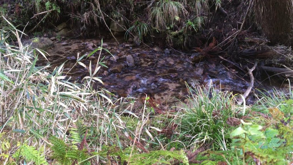 Natural Trip【0047】