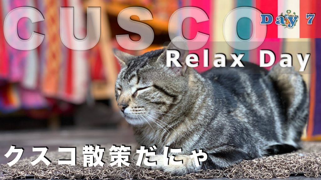 Relax in Cusco, Peru! Recovering from altitude sickness【Honeymoon – Day 7】|高山病から復活しクスコでリラックス!【ペルー】 Relax in Cusco, Peru! Recovering from altitude sickness【Honeymoon - Day 7】|高山病から復活しクスコでリラックス!【ペルー】