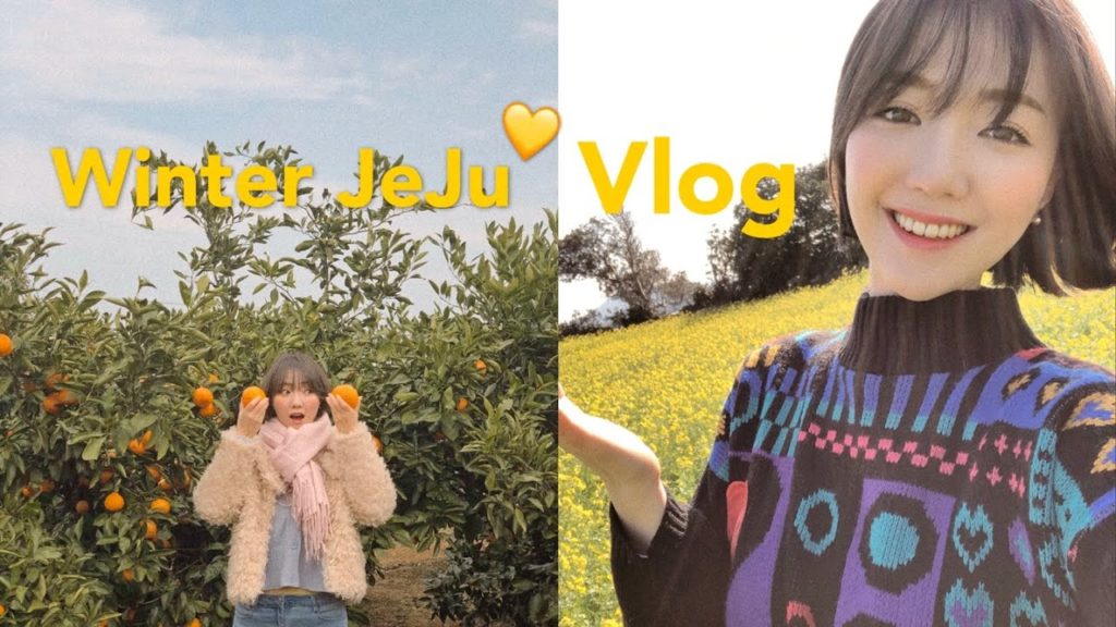 VLOG | 3박4일 제주도 겨울여행 브이로그 | 부모님과 진짜 맛집만 다니는 돼지런한 여행 | 흙돼지, 갈치조림, 보말미역국, 전복죽, 고등어 쌈밥 맛집 정보 가득 VLOG | 3박4일 제주도 겨울여행 브이로그 | 부모님과 진짜 맛집만 다니는 돼지런한 여행 | 흙돼지, 갈치조림, 보말미역국, 전복죽, 고등어 쌈밥 맛집 정보 가득