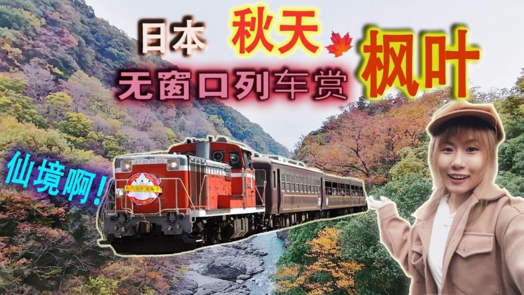 日本枫叶处处都是仙境啊！体验无窗口的开放型火车赏秋季红叶太震撼了！秘境 ❘ 群马县渡良濑溪谷铁道 ❘ Japan Autumn Leaves ❘ Kodootv