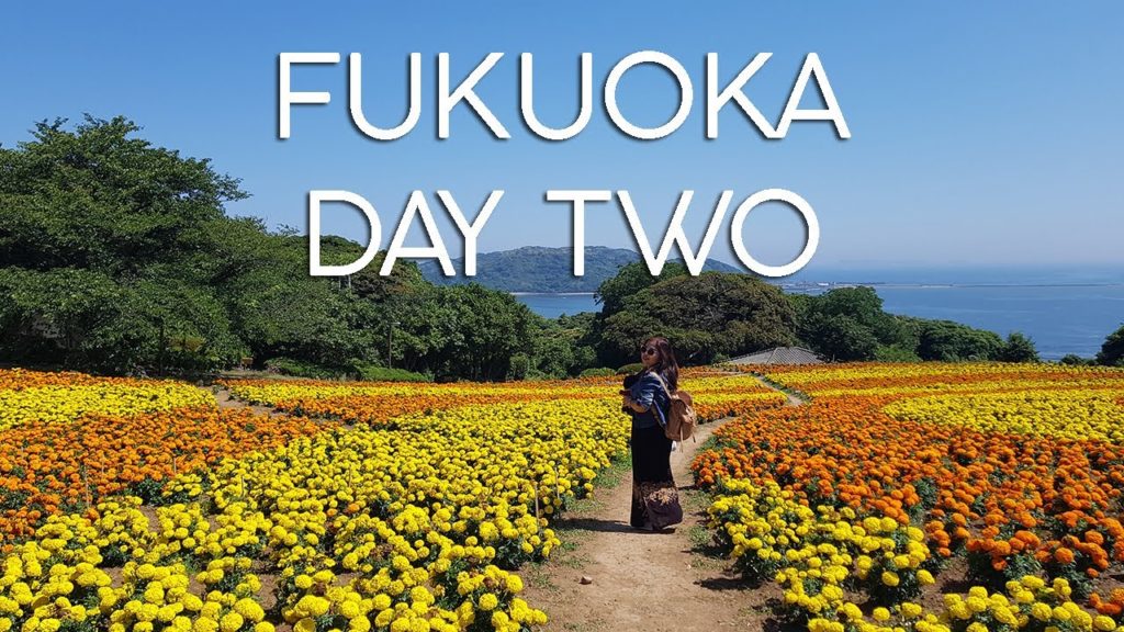 Fukuoka Day 2 – Nokonoshima Island, Fukuoka City Museum and Fukuoka Tower Fukuoka Day 2 - Nokonoshima Island, Fukuoka City Museum and Fukuoka Tower