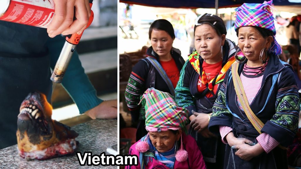 Köpek Eti De Satılan Yerel Bir Pazardayım – Vietnam Köpek Eti De Satılan Yerel Bir Pazardayım - Vietnam