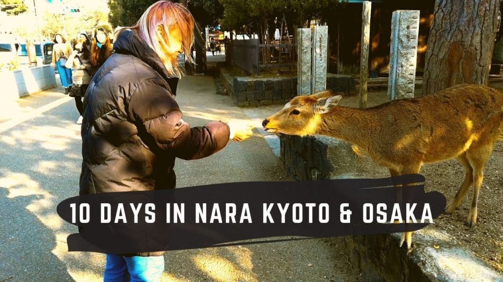 Nara Park & Higashimuki Shopping Street 2019