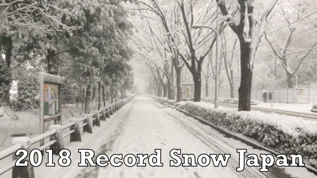 2018 Japan Record Snow in Tokyo Suburb ASMR Frost Flake Snowman Angel Peace Relax Meditate Sleep
