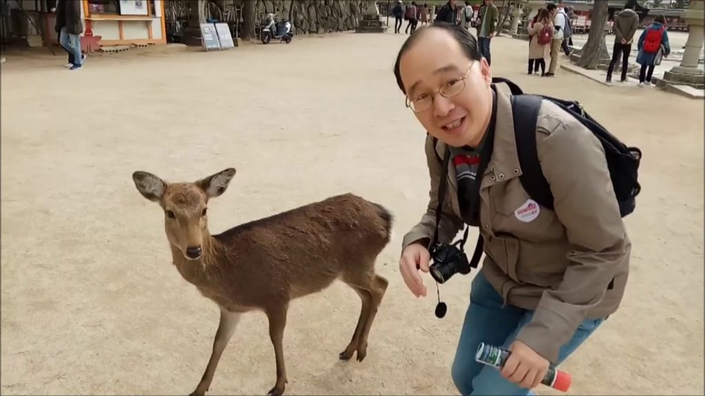 Visit to Miyajima Island, Hiroshima Visit to Miyajima Island, Hiroshima