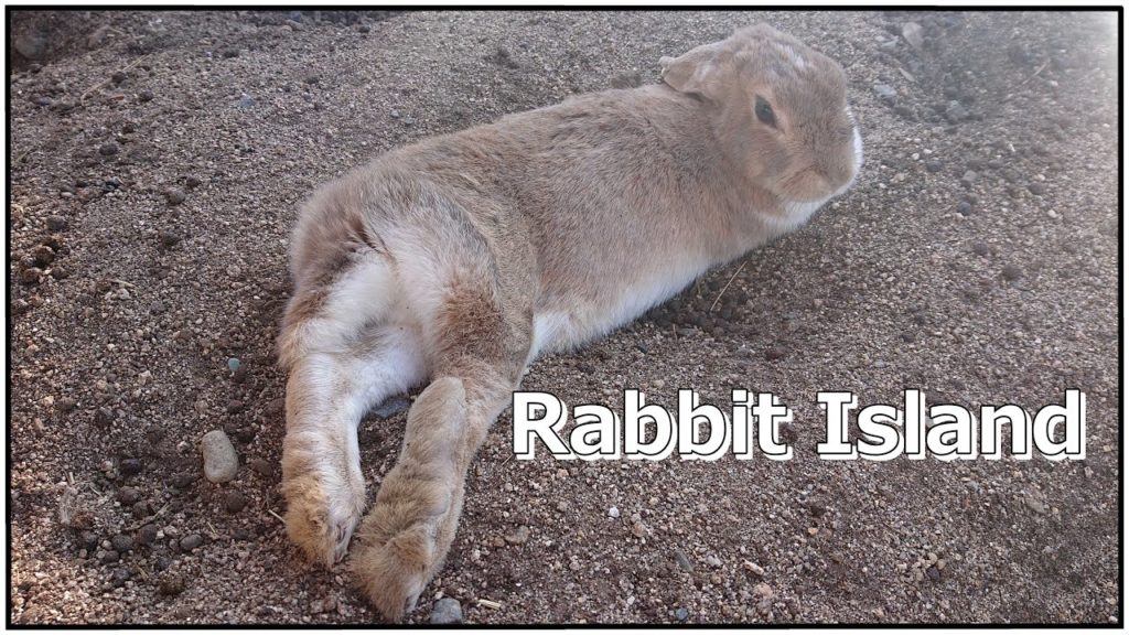 How to get to Rabbit Island and cycle around Rabbit Island