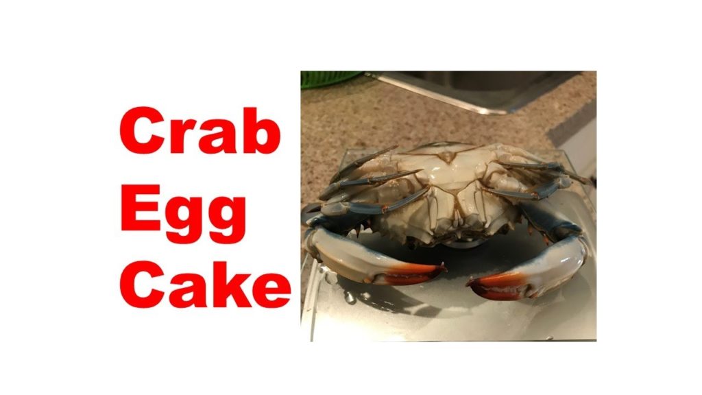FunAmericanLife 26:  Gulf Mexico blue crab egg cake