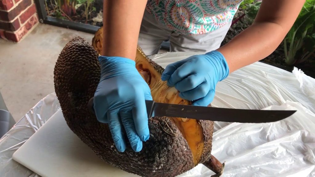 FunAmericanLife 11:  Sweet jackfruit, but this one is bad, ha-ha