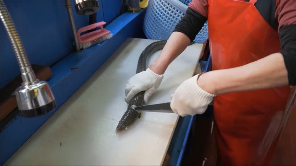Japanese street food! (cooking) Korean Fish Market – Giant sea eel Japanese street food! (cooking) Korean Fish Market - Giant sea eel