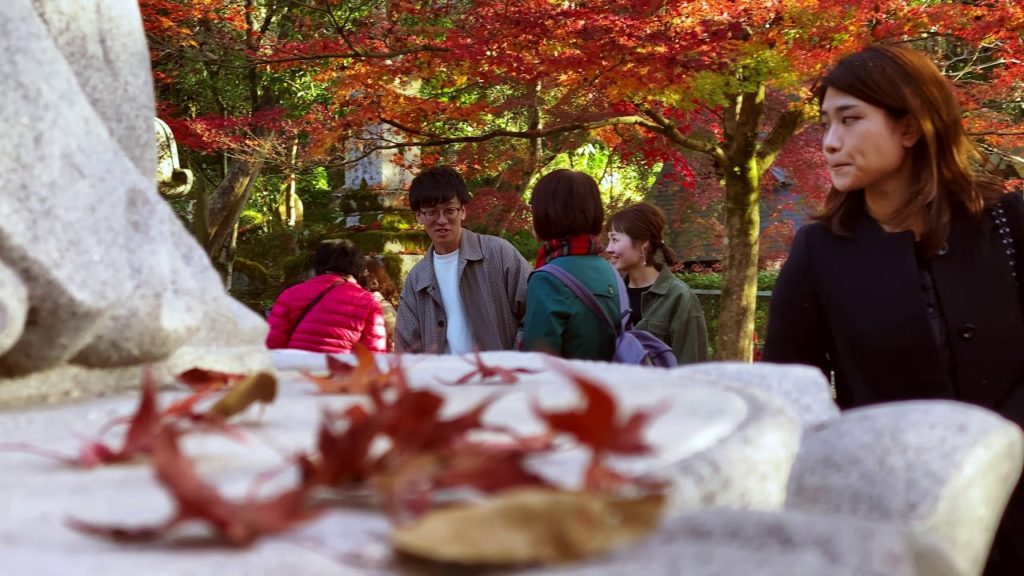 Beautiful Breathtaking Colors of Autumn Japan Nature Relax Tour Kyoto Park Stunning 4K60 Beautiful Breathtaking Colors of Autumn Japan Nature Relax Tour Kyoto Park Stunning 4K60