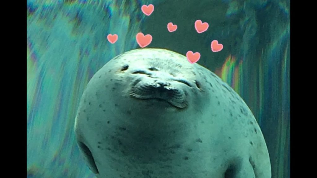 First Trip to Japan | Part 2| Osaka Aquarium, Smiling Seal, Osaka Airbnb Tour, Dōtonbori