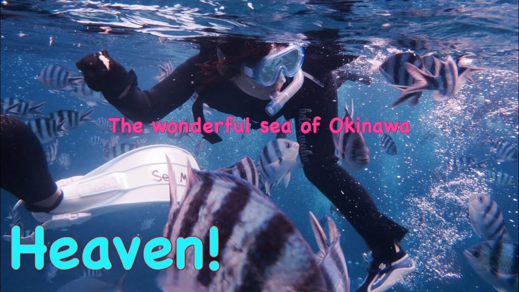Heven!　Snorkeling　in Okinawa in winter.