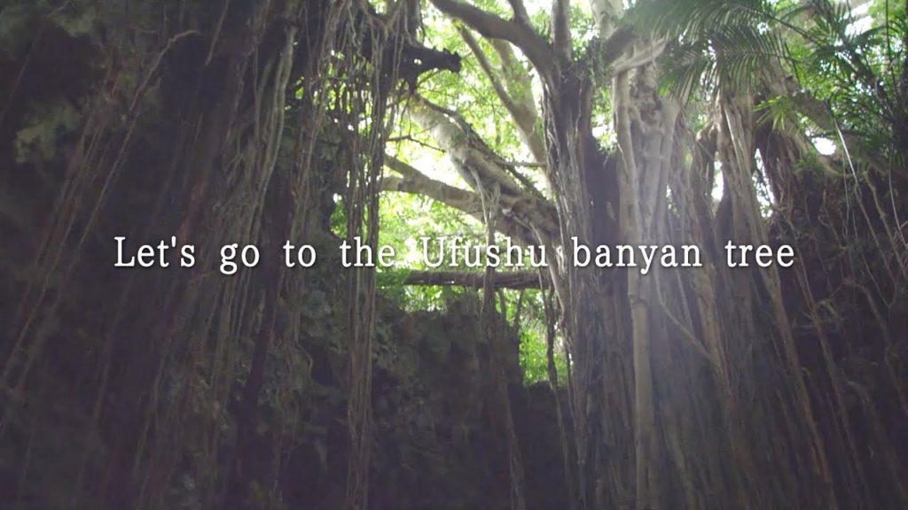 Let's go to the Ufushu banyan tree｜Tabirai Car Rental