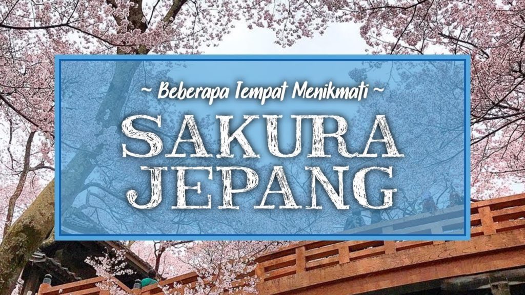 Beberapa Tempat Melihat Bunga Sakura di Jepang, dan Jadwal Mekarnya Selama Tahun 2020