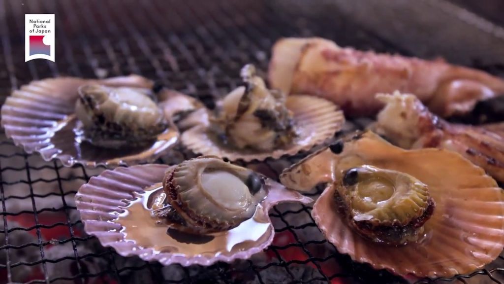 National Parks of Japan 24min