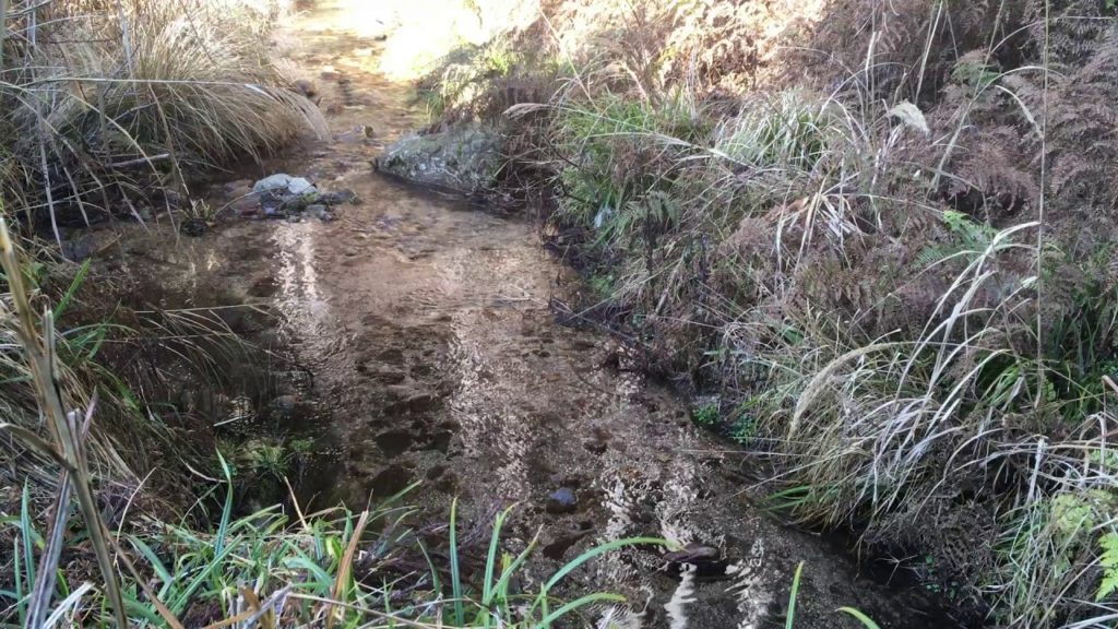 Natural Trip【0051】