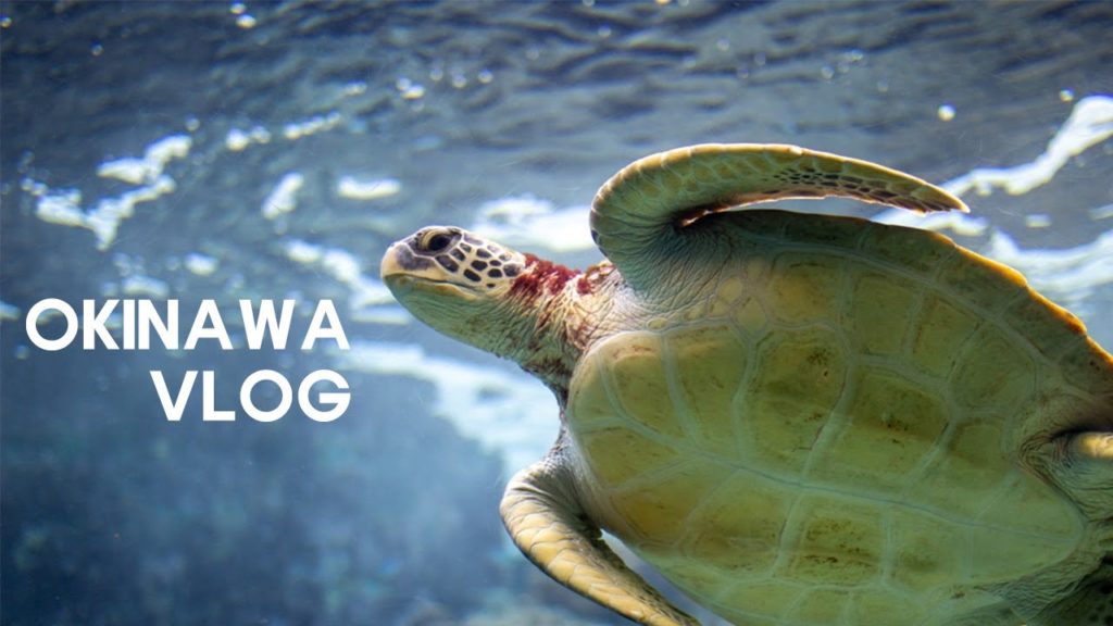오키나와 여행(OKINAWA TRAVEL) VLOG  - 유치원 선생님들의 여행